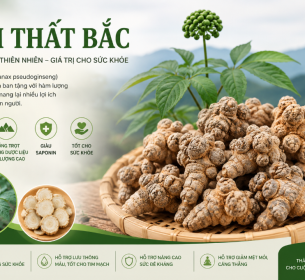 TAM THẤT BẮC