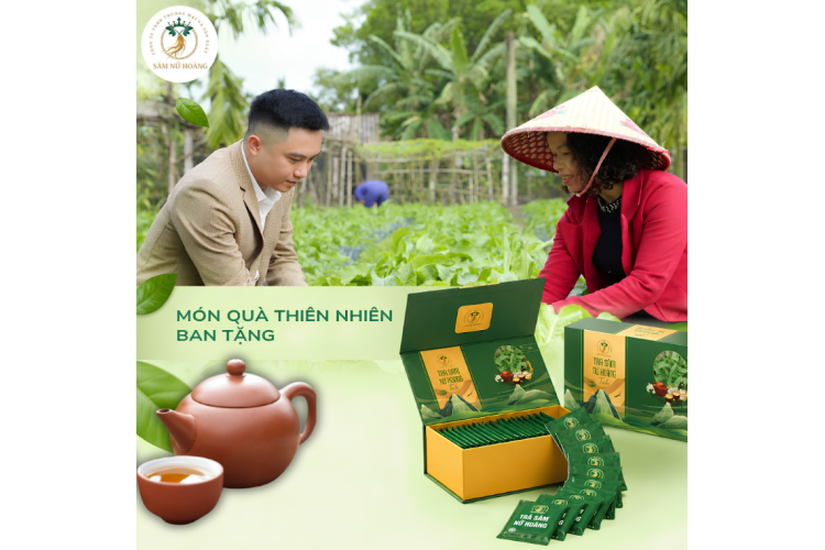 TRÀ SÂM NỮ HOÀNG