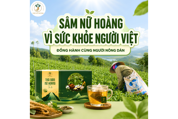 TRÀ SÂM NỮ HOÀNG